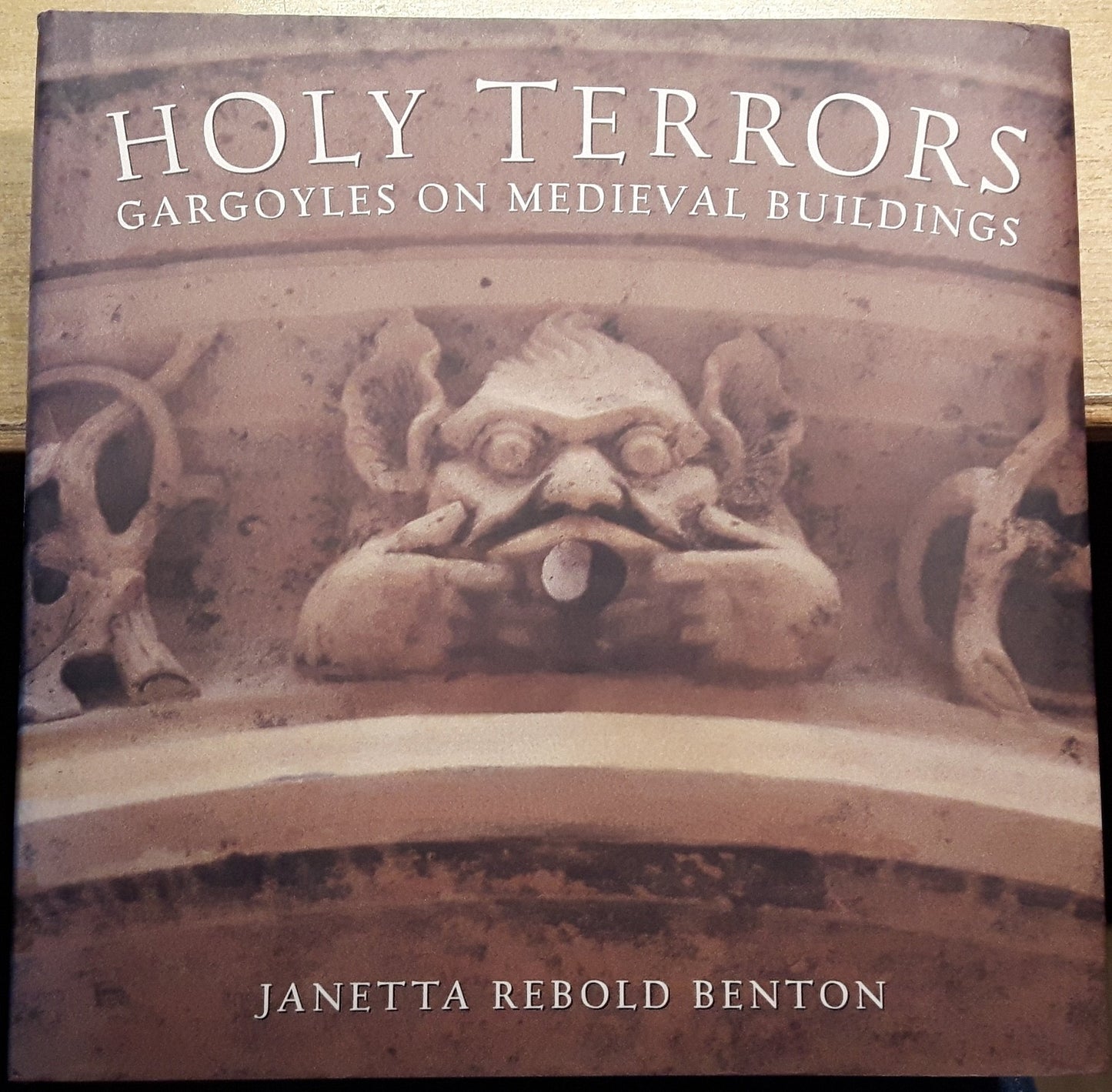 Holy Terrors: Gargoyles on Medieval Buildings