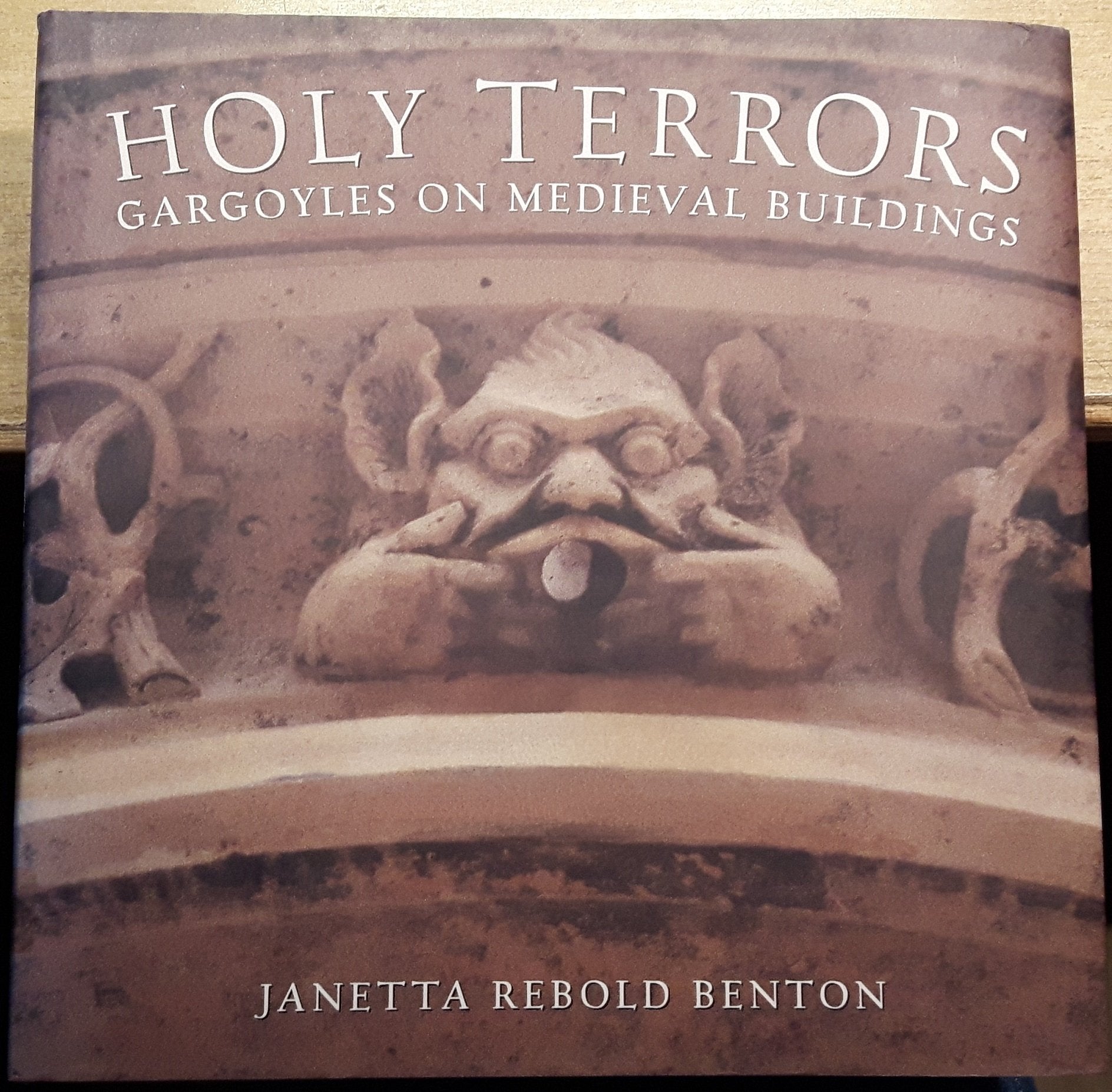 Holy Terrors: Gargoyles on Medieval Buildings