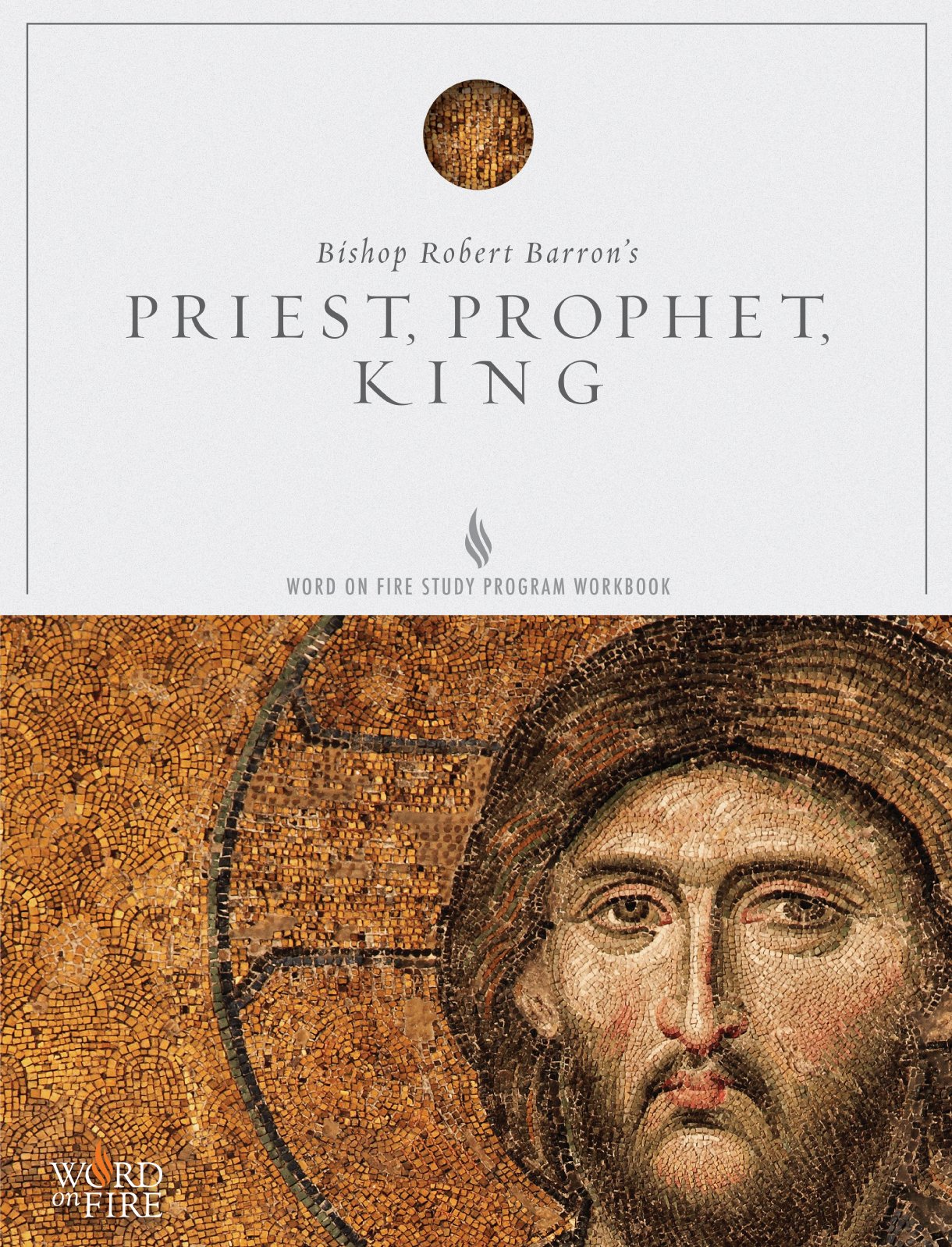Priest, Prophet, King Study Guide