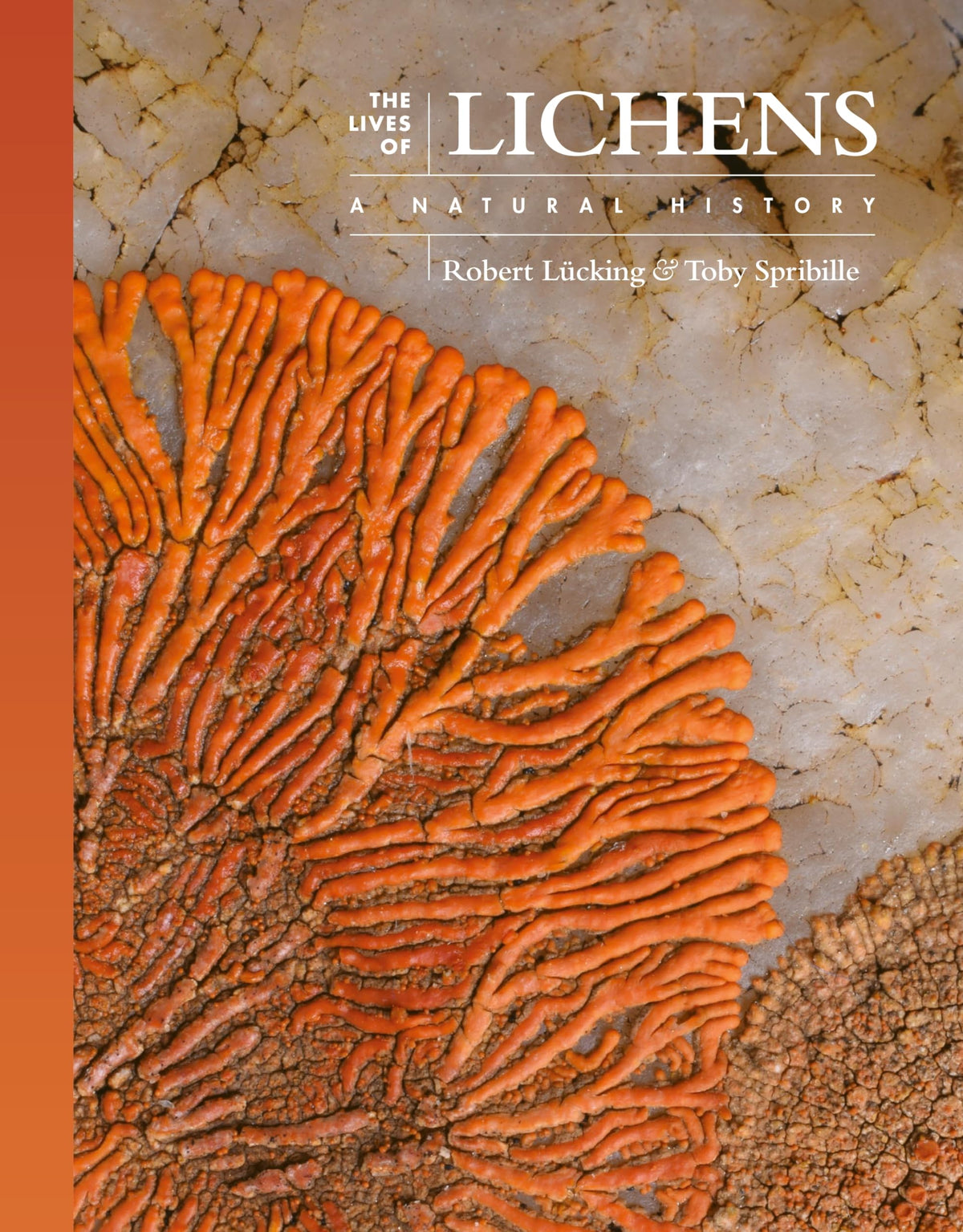 The Lives of Lichens: A Natural History (The Lives of the Natural World)