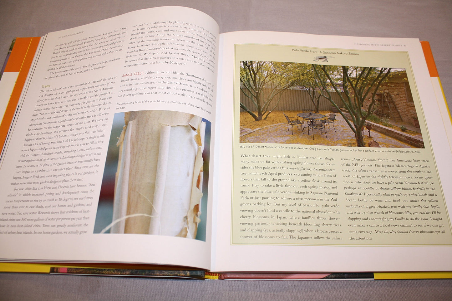 The Hot Garden: Landscape Design for the Desert Southwest