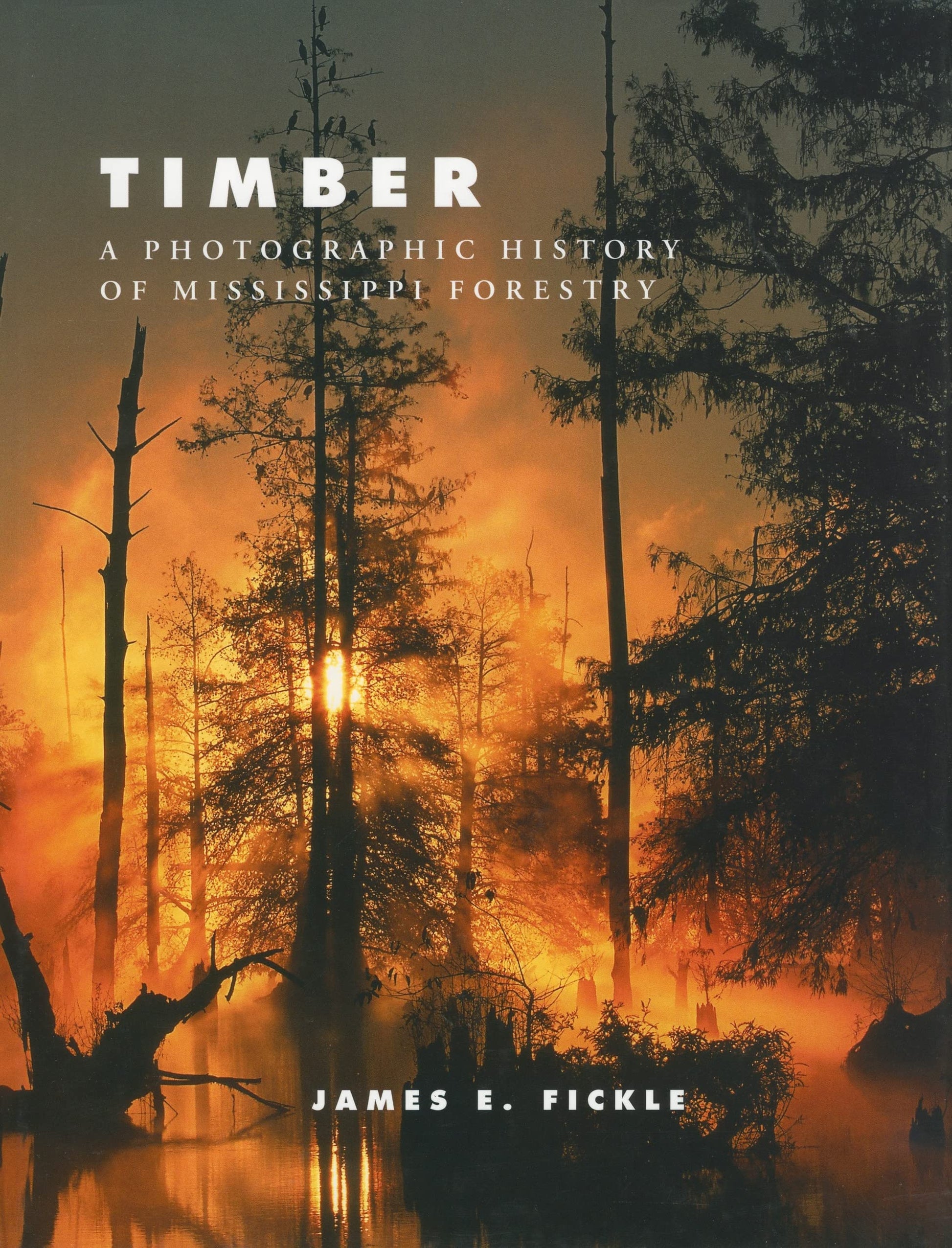 Timber: A Photographic History of Mississippi Forestry