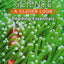 Science, A Closer Look, Grade 3, Reading Essentials (ELEMENTARY SCIENCE CLOSER LOOK)