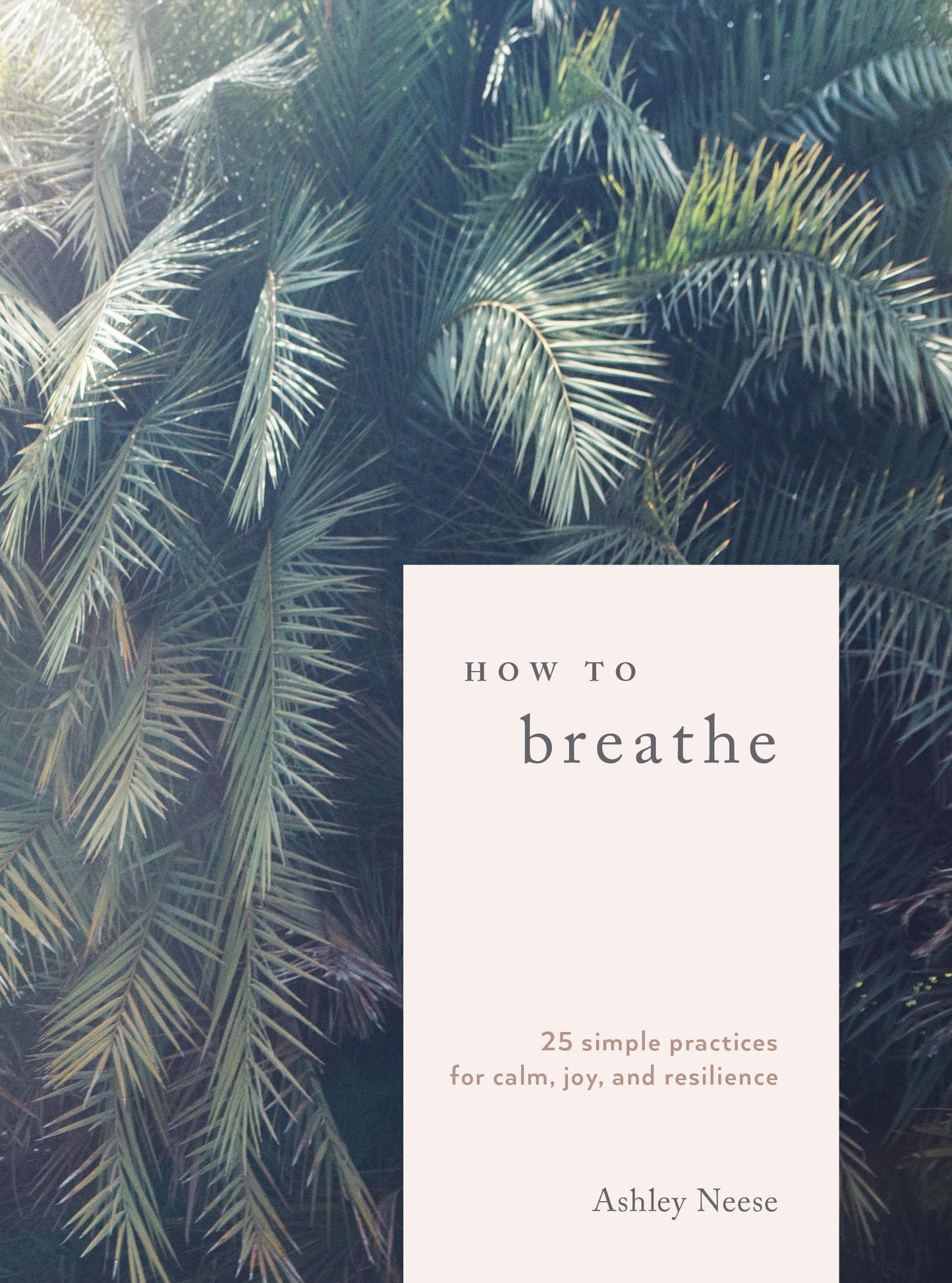 How to Breathe: 25 Simple Practices for Calm, Joy, and Resil