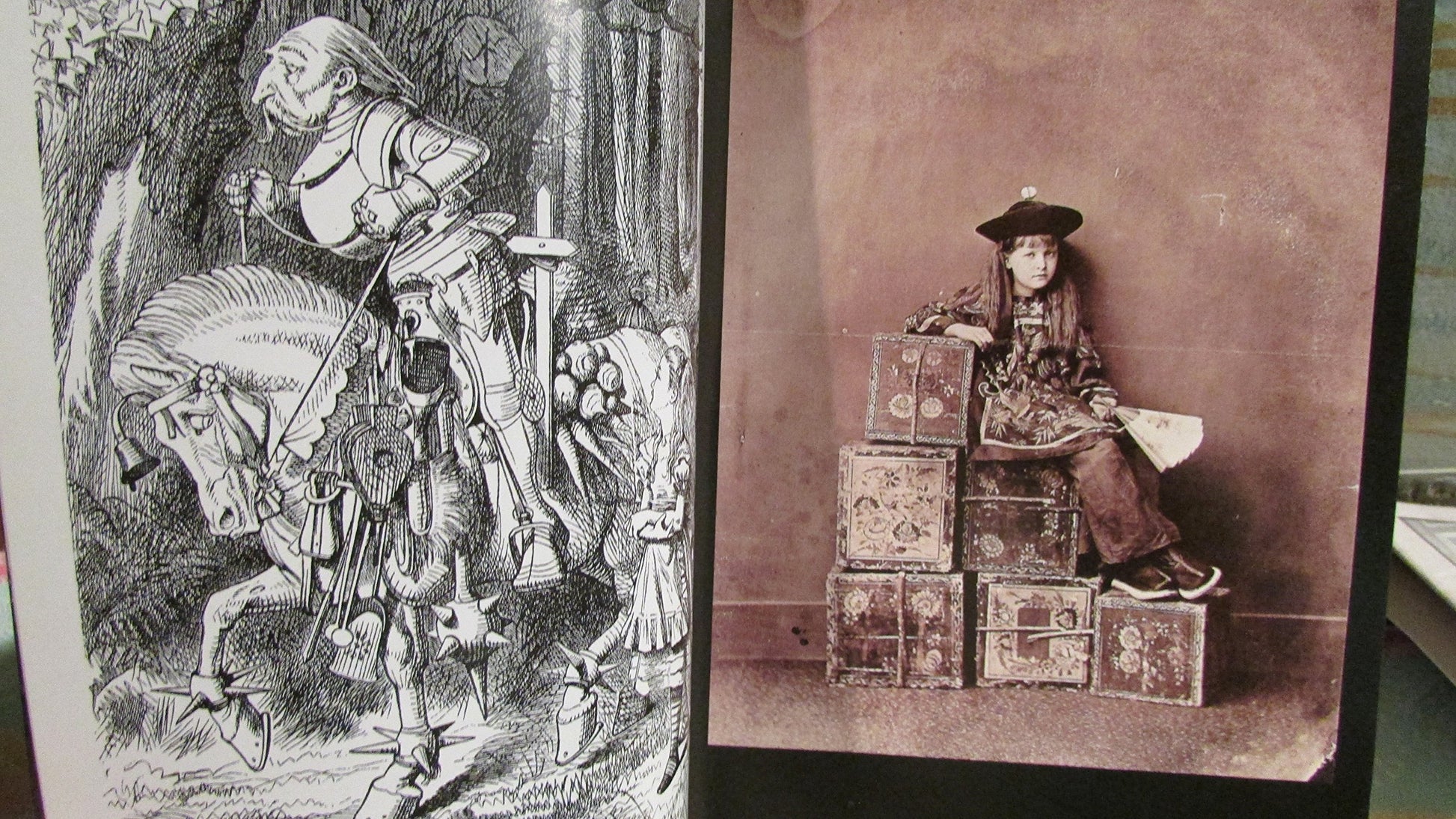 Lewis Carroll in Wonderland: The Life and Times of Alice and Her Creator (DISCOVERIES (ABRAMS))