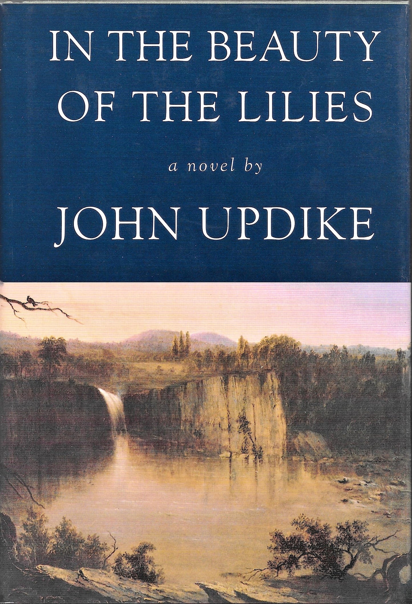 In the Beauty of the Lilies by Updike, John