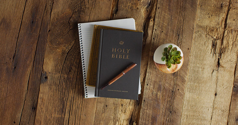 ESV Church Bible (Hardcover, Black) — back cover