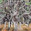 Trees (Gift Edition): Between Earth and Heaven