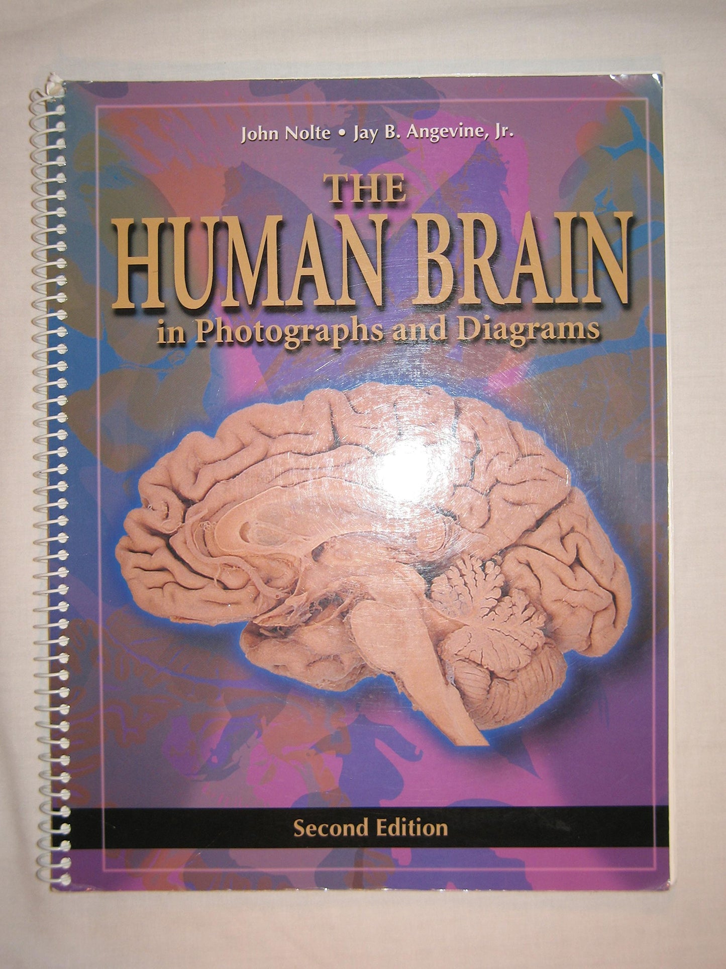 The Human Brain: in Photographs and Diagrams