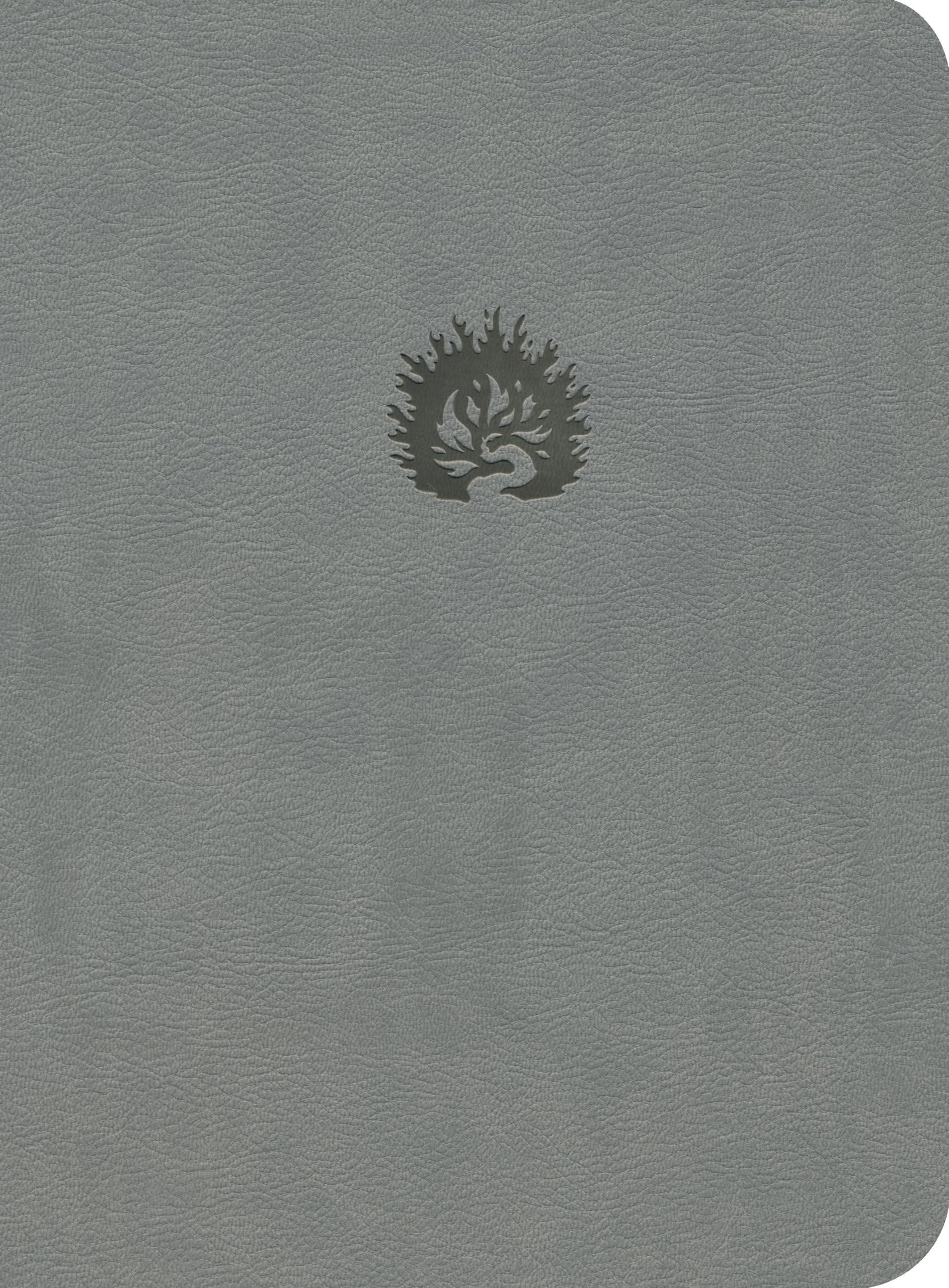 ESV Reformation Study Bible, Light Gray, Leather-Like
