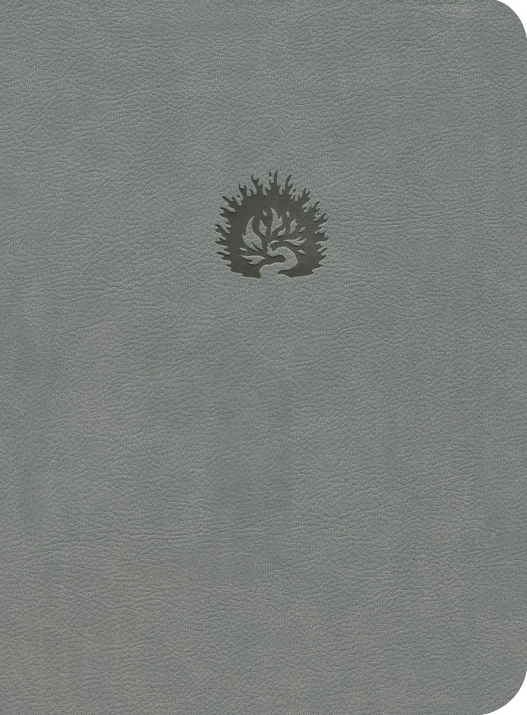 ESV Reformation Study Bible, Light Gray, Leather-Like