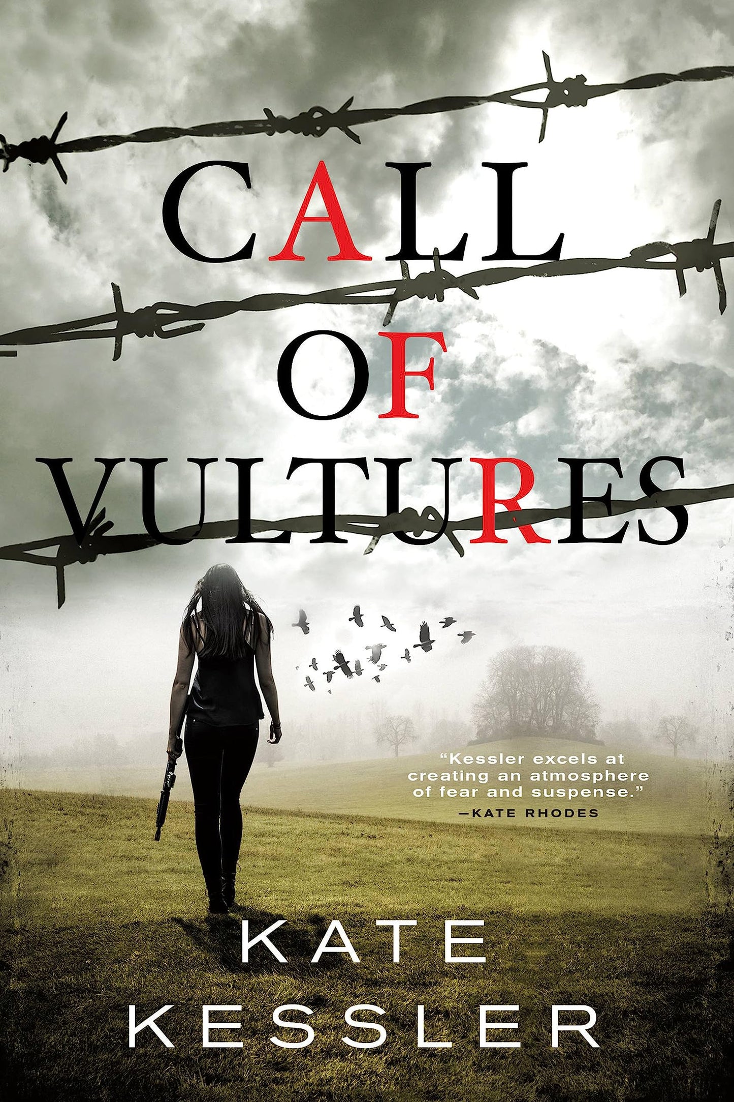 Call of Vultures (A Killian Delaney Novel, 2)