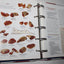 Better Homes and Gardens New Cook Book (Three Ring Binder Edition)
