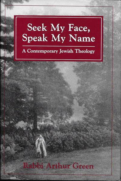 Seek My Face, Speak My Name: A Contemporary Jewish Theology