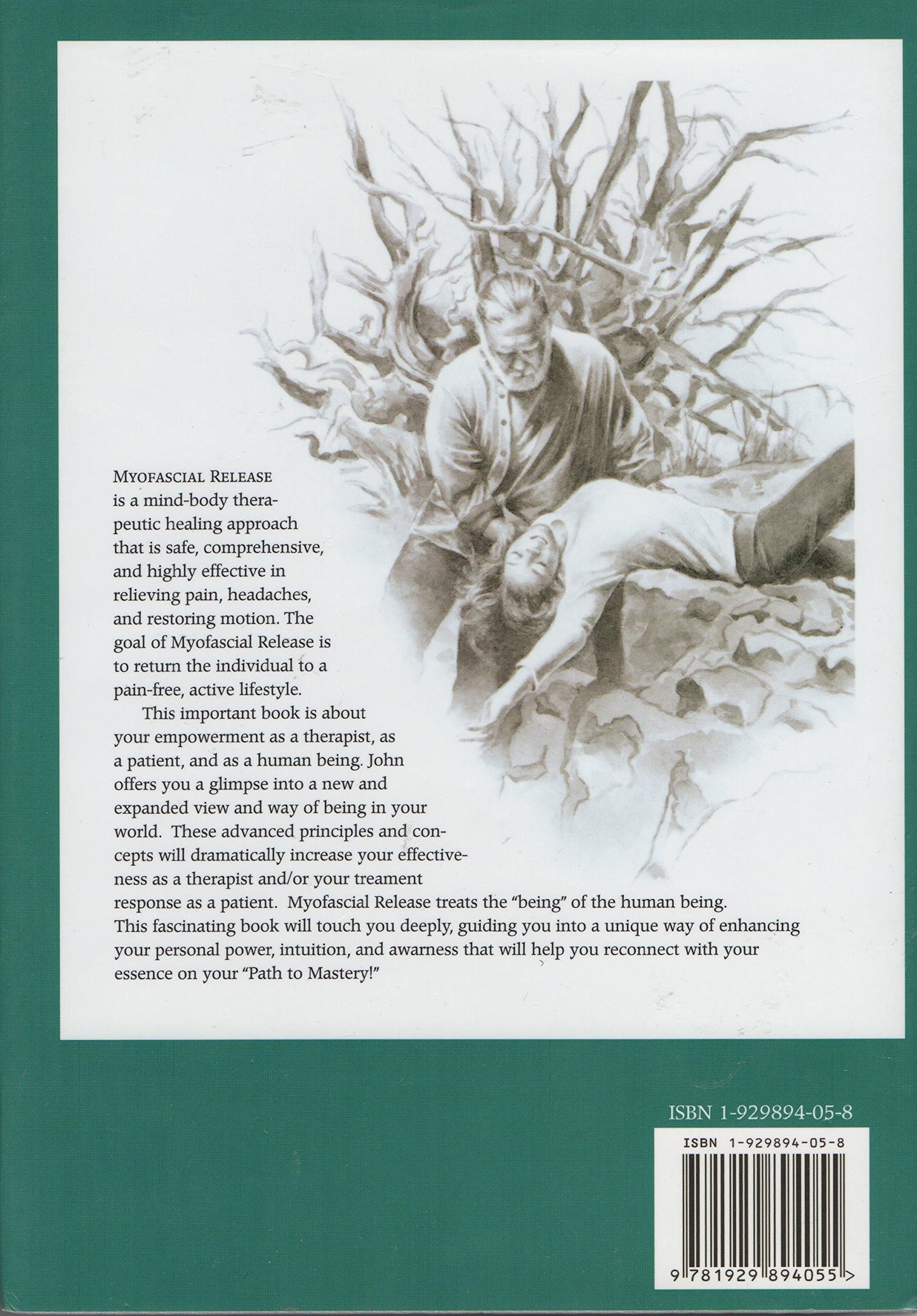 Healing Ancient Wounds: The Renegade's Wisdom by Barnes PT,