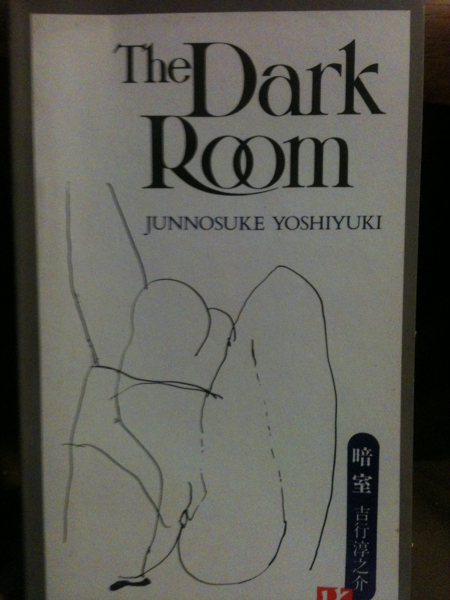 The Dark Room (Kodansha Modern Writers Series)