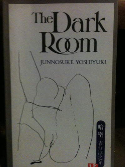The Dark Room (Kodansha Modern Writers Series)