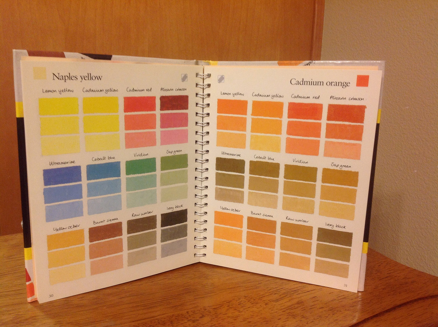 The Oil Painter's Pocket Palette (Illustrated) by Rosalind C