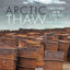 Arctic Thaw: Climate Change and the Global Race for Energy Resources