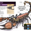 Super Bug Encyclopedia: The Biggest, Fastest, Deadliest Creepy-Crawlers on the Planet (DK Super Nature Encyclopedias)
