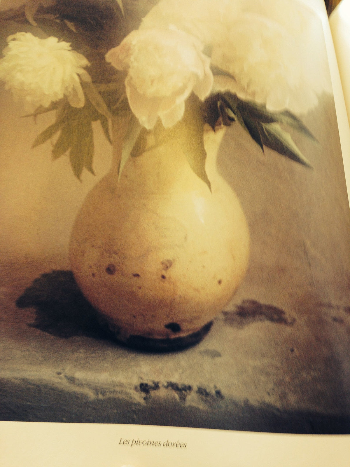 Images