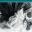 Revising the Storm (A. Poulin, Jr. New Poets of America)