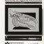 Manual of Equine Dentistry by Allen, Tom