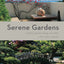 Serene Gardens: Creating Japanese Design and Detail in the Western Garden (IMM Lifestyle Books) Practical Introduction to the Tradition of Zen Gardening with Natural Wood, Bamboo, Rocks, and Pebbles