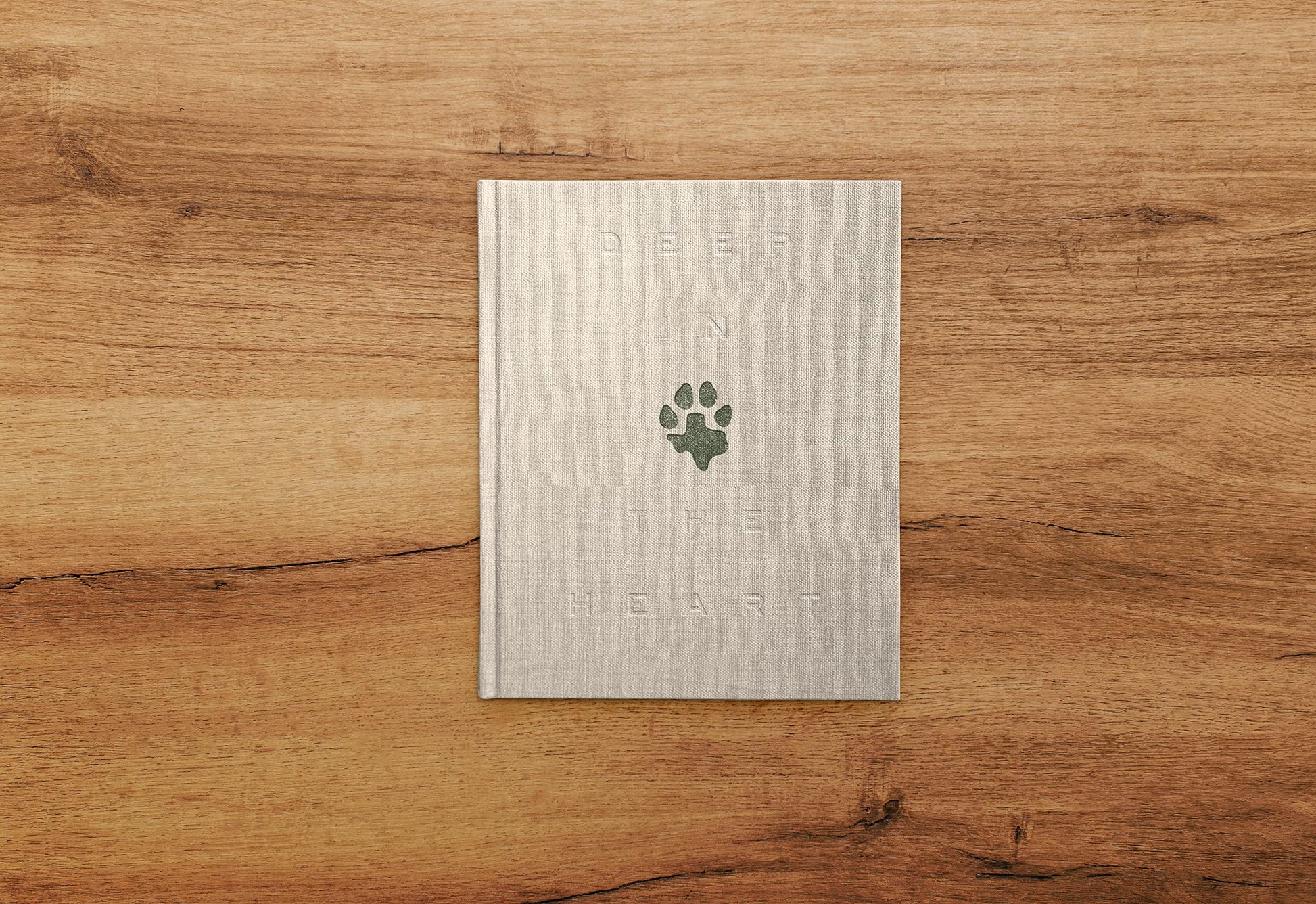 Deep in the Heart: A Texas Wildlife Story
