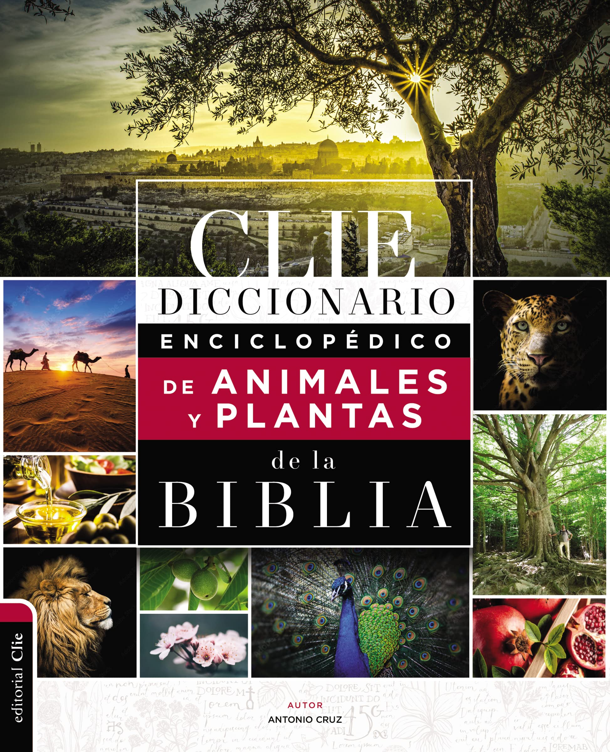 Diccionario Enciclopédico de Animales y Plantas de la Biblia (Spanish Edition)