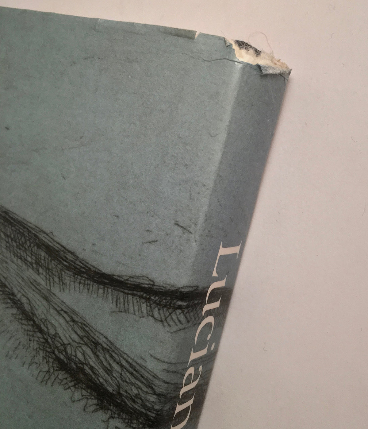 Lucian Freud: The Painter's Etchings