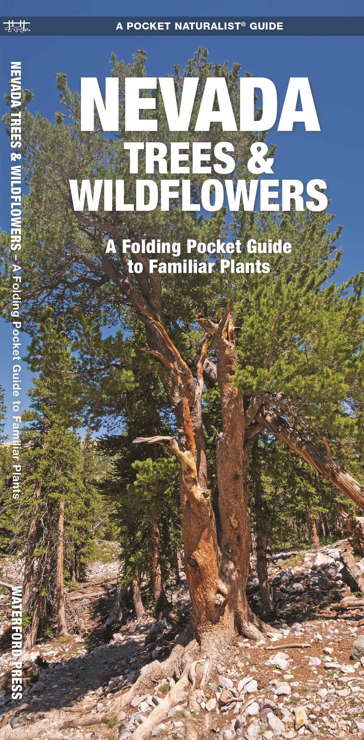 Nevada Trees & Wildflowers (Nature Observation North America)
