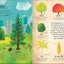 The Magic and Mystery of Trees (The Magic and Mystery of the