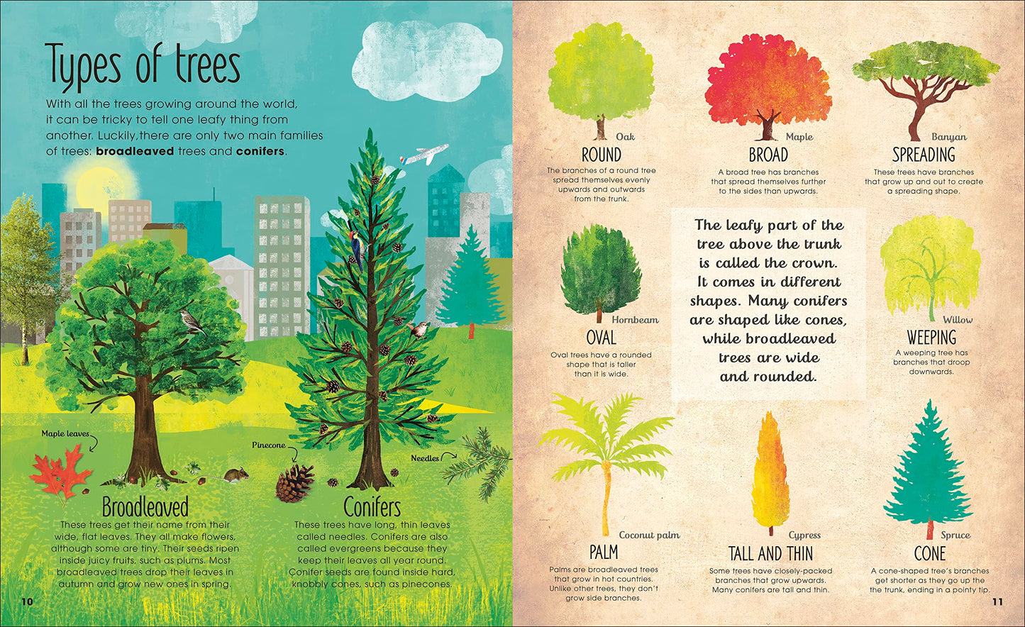 The Magic and Mystery of Trees (The Magic and Mystery of the
