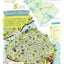School Zone Travel the Great States Workbook: 64 Pages, 3rd Grade, Geography, Map-Reading, United States, Ages 8+ (Activity Zone Book Series)