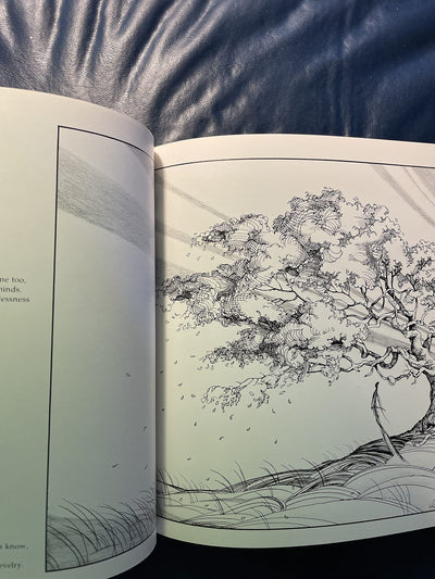 Looking ... seeing: Poems and song lyrics by Chapin, Harry