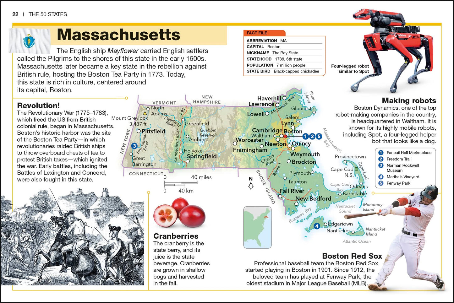 Pocket Genius: The 50 States: Facts at Your Fingertips
