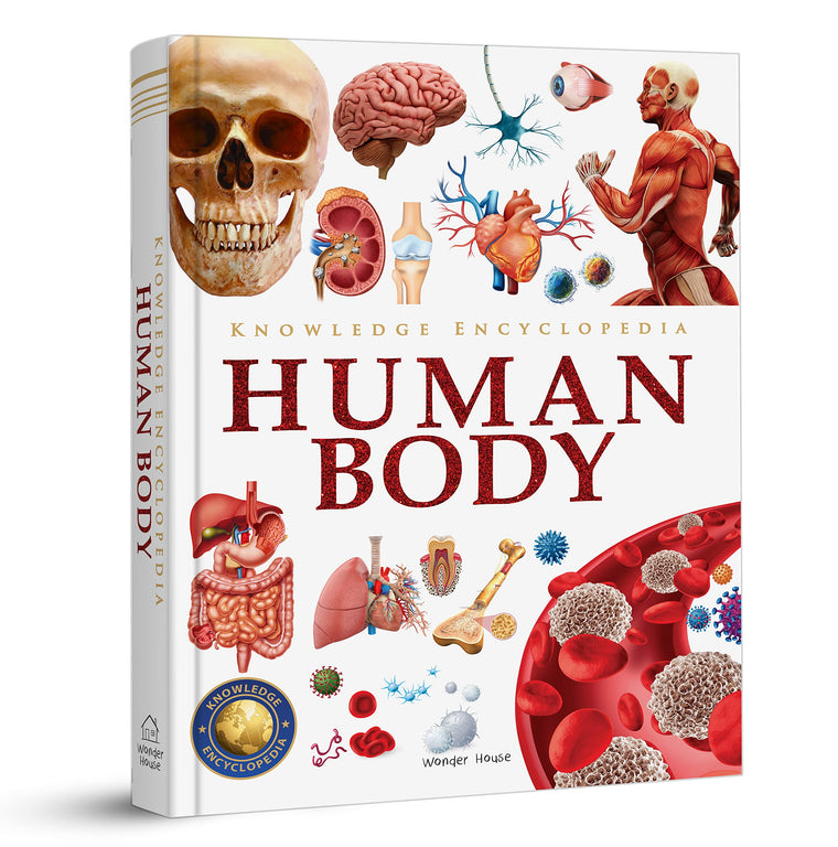 Knowledge Encyclopedia Human Body (Knowledge Encyclopedia For Children)