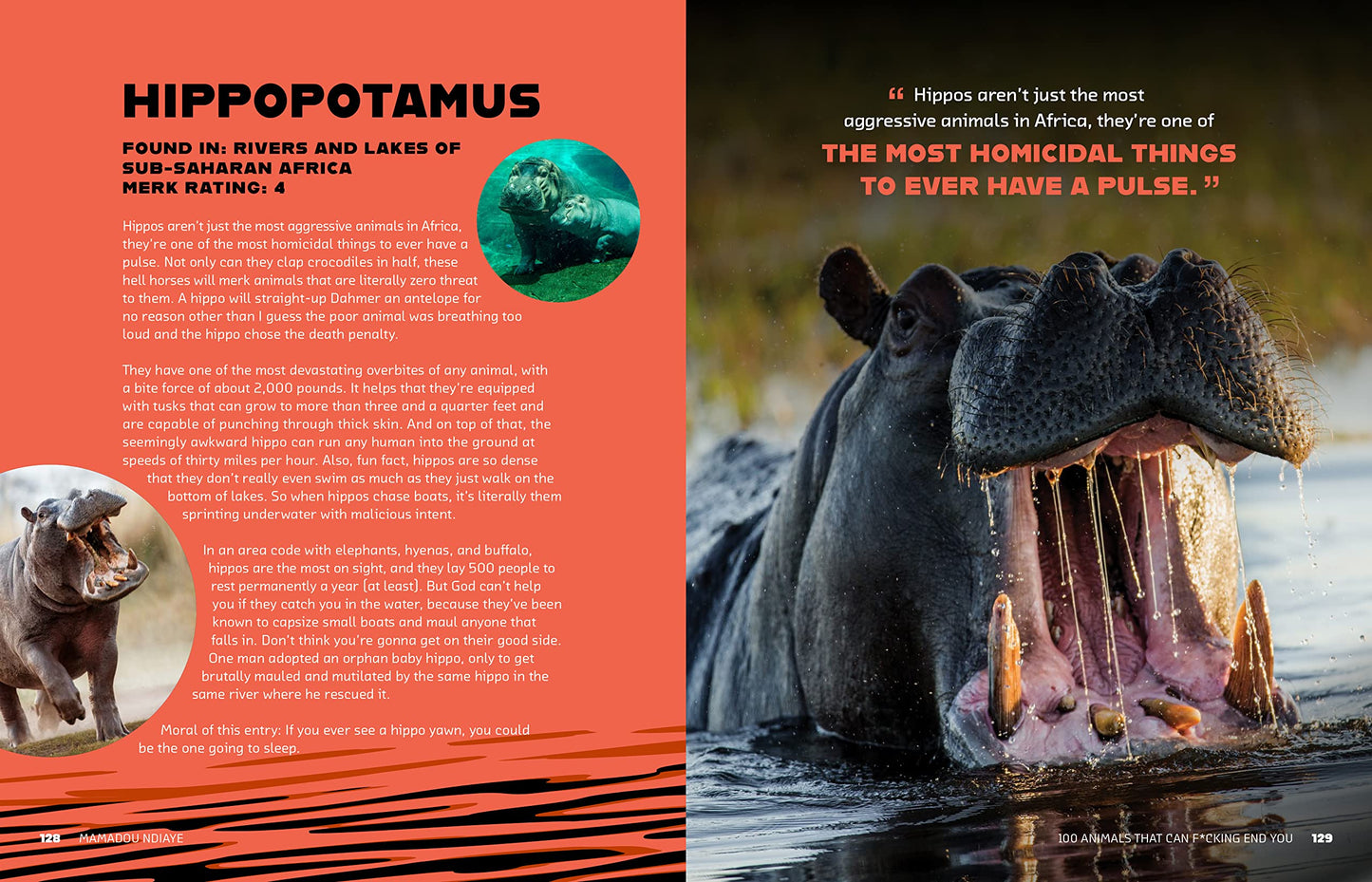 100 Animals That Can F*cking End You