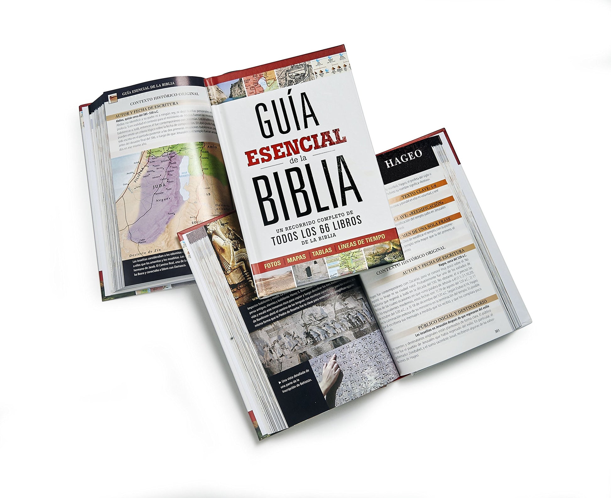 Gu?a esencial de la Biblia  Ultimate Bible Guide (Spanish Edition)