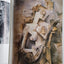 Pablo Picasso: A Retrospective- The Museum of Modern Art, New York