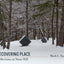 Recovering Place: Reflections on Stone Hill (Religion, Culture, and Public Life, 17)