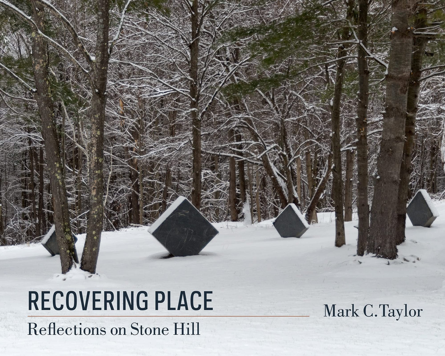 Recovering Place: Reflections on Stone Hill (Religion, Culture, and Public Life, 17)
