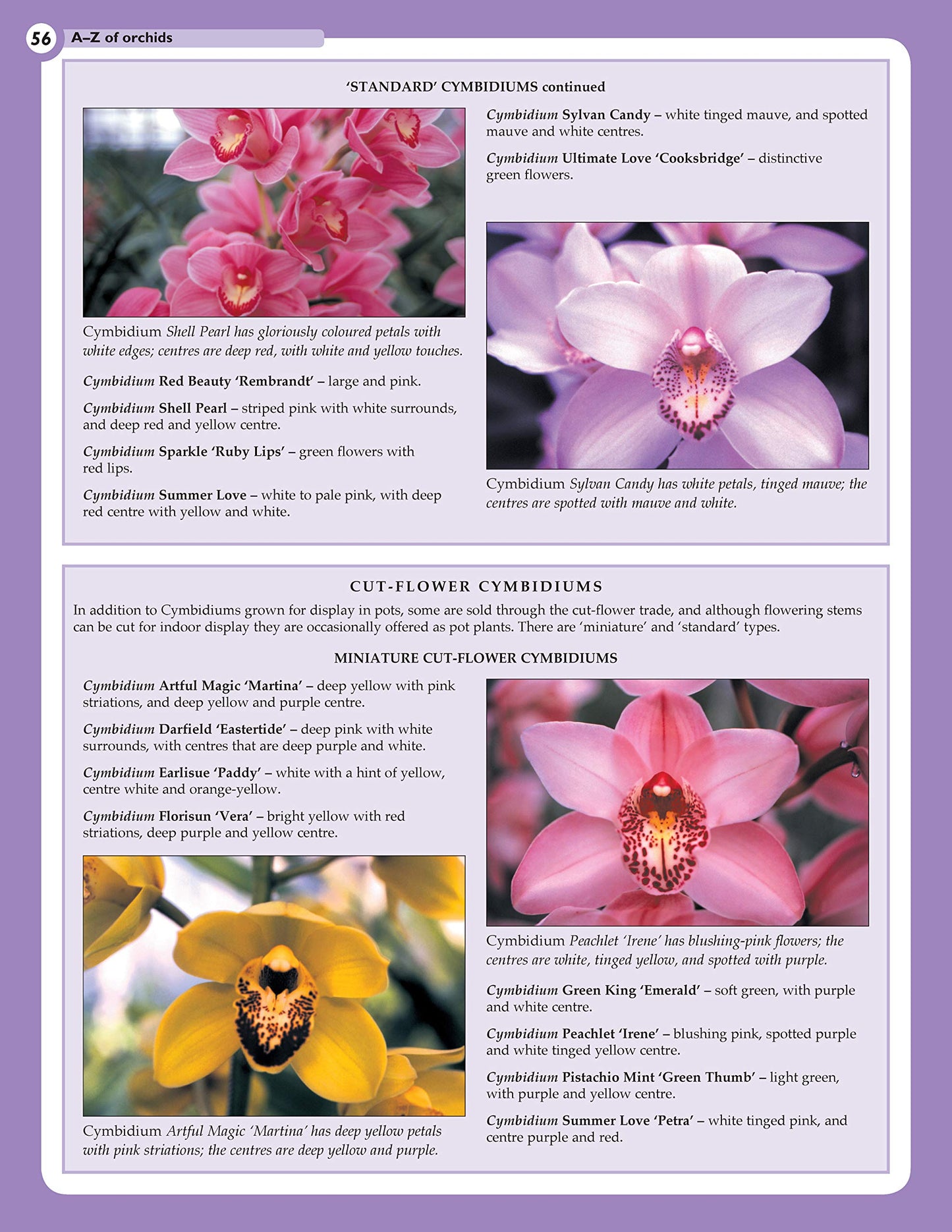 Home Gardener's Orchids: Selecting, Growing, Displaying, Improving and Maintaining Orchids (Creative Homeowner) (Specialist Guide)