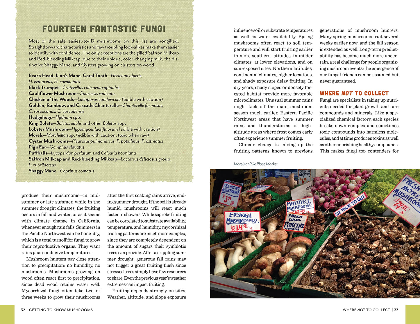 Fruits of the Forest: A Field Guide to Pacific Northwest Edible Mushrooms