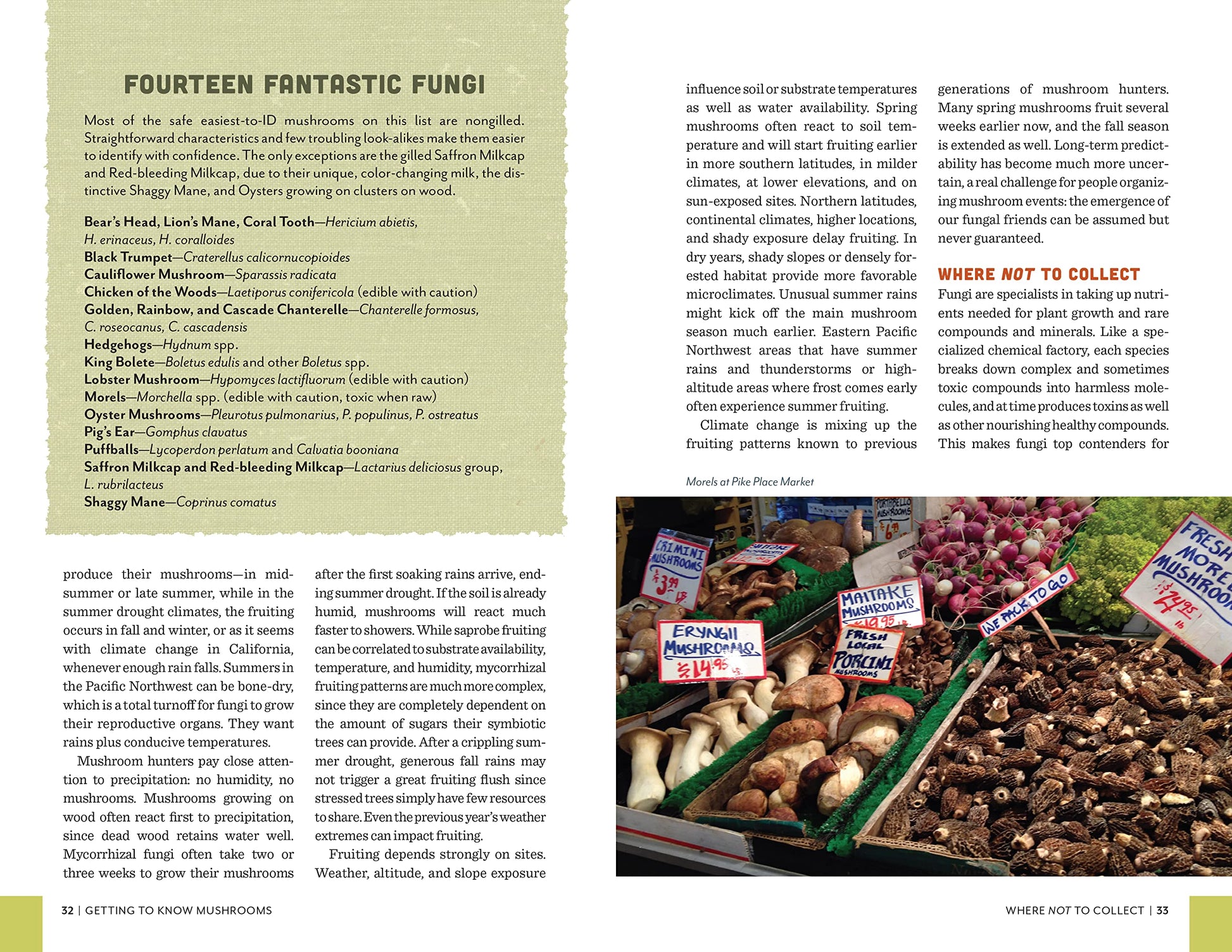 Fruits of the Forest: A Field Guide to Pacific Northwest Edible Mushrooms