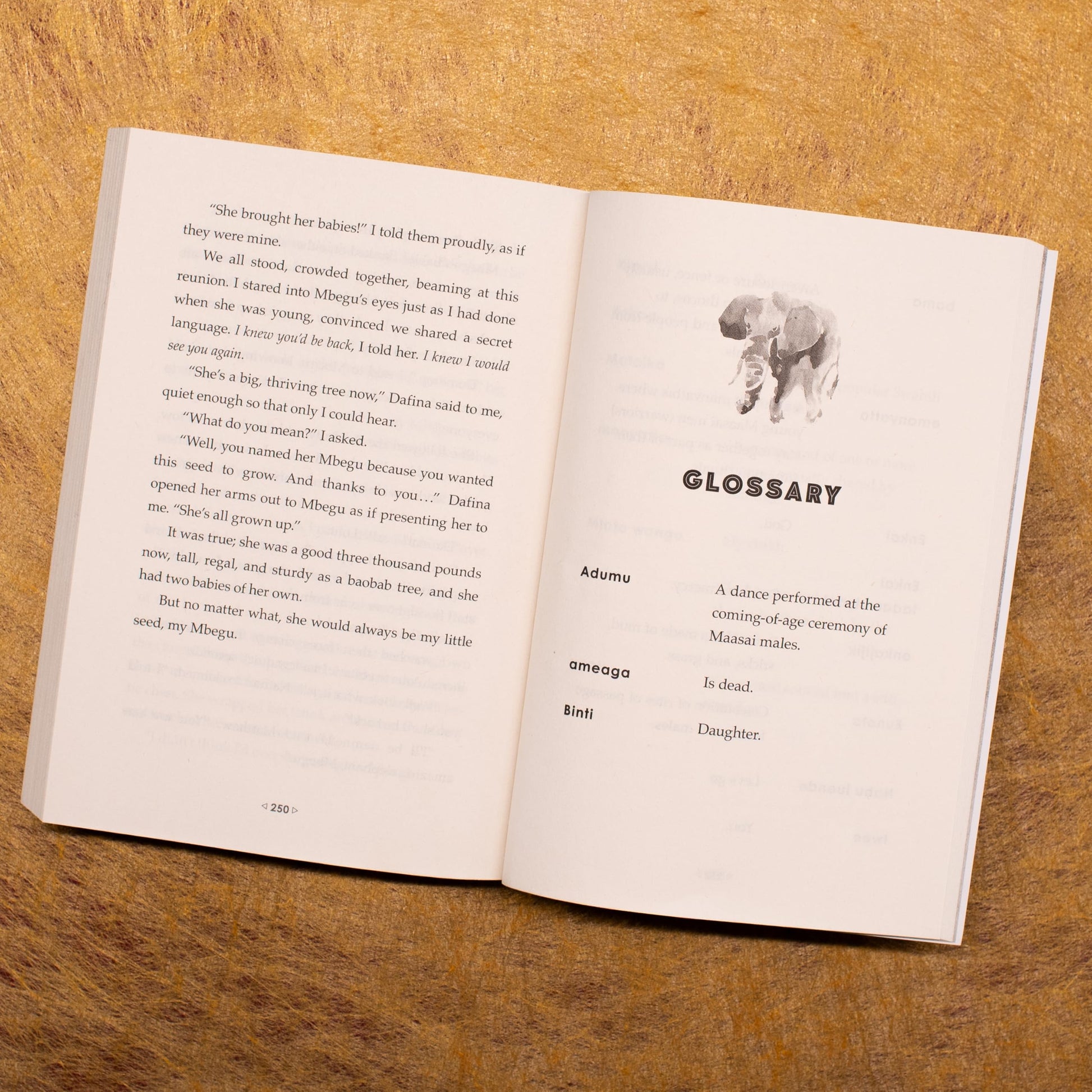 The Elephant Girl