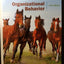 Organizational Behavior (17th Edition) - Standalone book