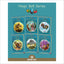 Phonic Books Magic Belt Decodable Books for Older Readers (CVC, Consonant Blends and Consonant Teams) (Phonic Books Catch-Up Decodable Readers)