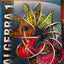 Algebra 1, Common Core Edition, McGraw Hill (MERRILL ALGEBRA
